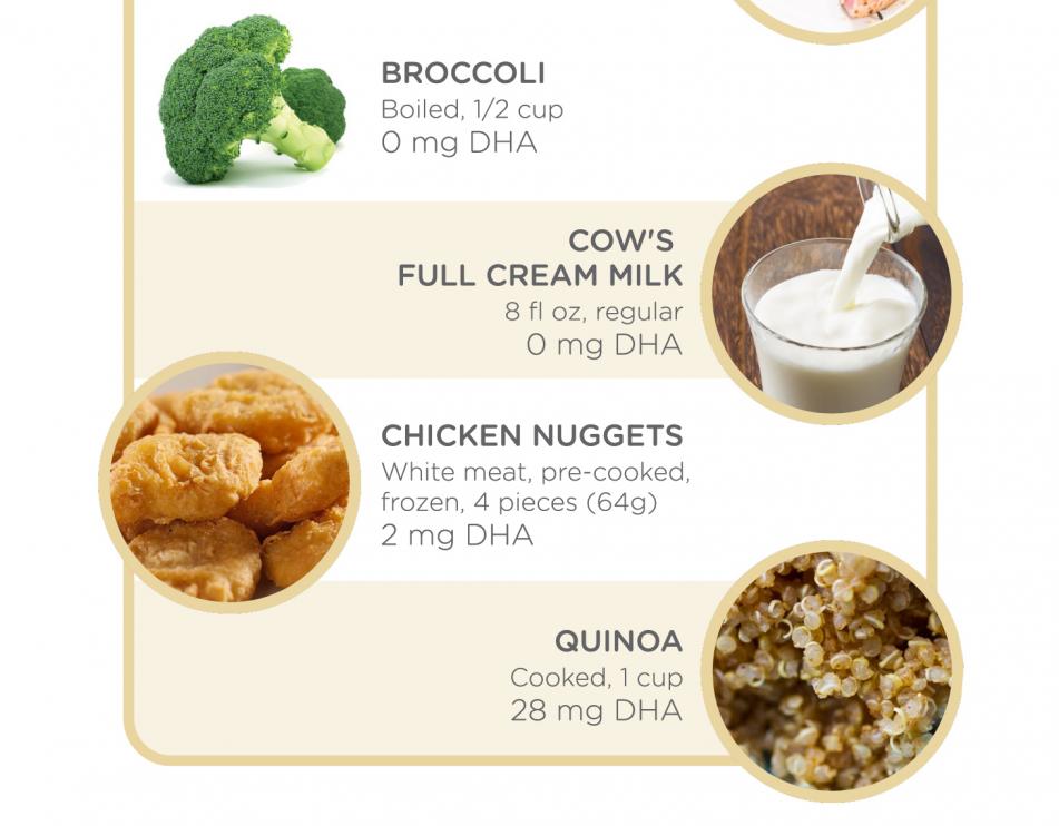 DHA source of foods